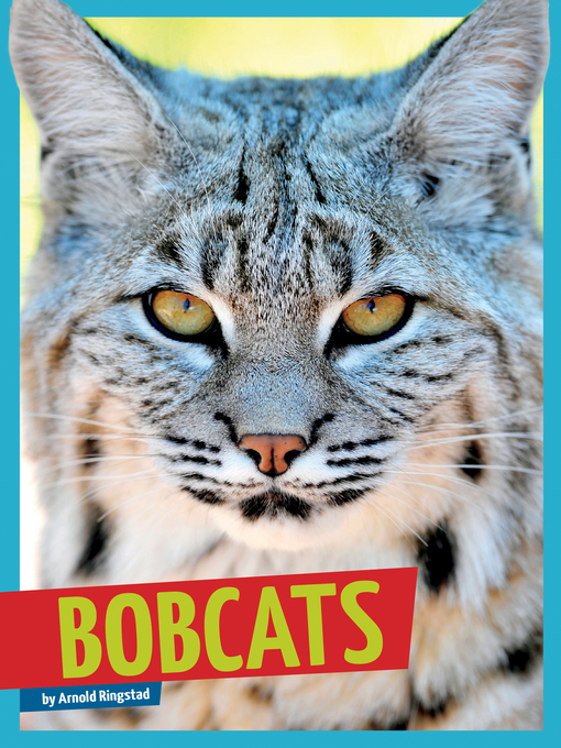 Title details for Bobcats by Arnold Ringstad - Available